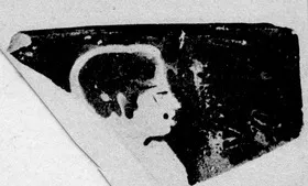SKYPHOS, FRAGMENT (ATHENIAN, RED-FIGURE)