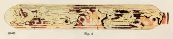 RING ARYBALLOS (CORINTHIAN, BLACK-FIGURE)