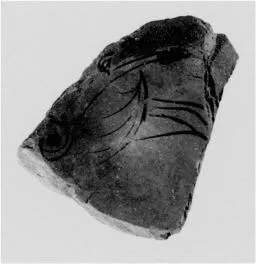 FISH PLATE, FRAGMENT (ATHENIAN, RED-FIGURE)