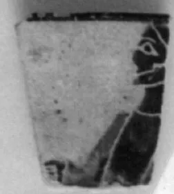 CUP, SIANA, FRAGMENT (ATHENIAN, BLACK-FIGURE)