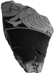 CUP, FRAGMENT (ATHENIAN, RED-FIGURE)