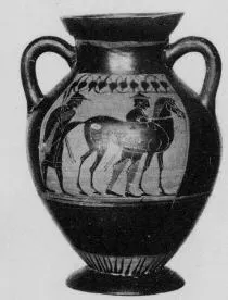 AMPHORA, BELLY, TYPE B (ATHENIAN, BLACK-FIGURE)