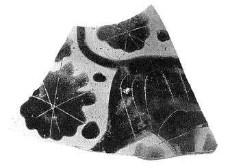 FRAGMENT (CORINTHIAN, BLACK-FIGURE)