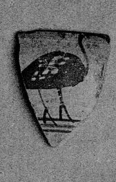 CUP, FRAGMENT (EAST GREEK, OUTLINE)