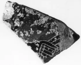 AMPHORA, BELLY, FRAGMENT (ATHENIAN, BLACK-FIGURE)