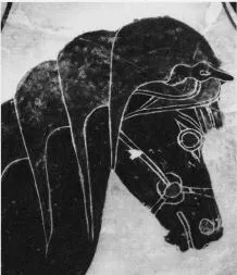 AMPHORA, BELLY, TYPE B (ATHENIAN, BLACK-FIGURE)