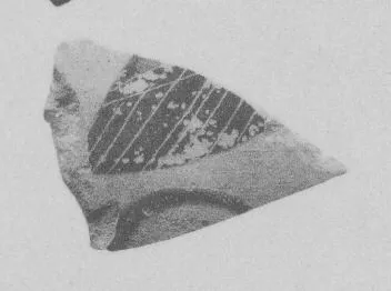 AMPHORA, NECK, FRAGMENT (ATHENIAN, BLACK-FIGURE)