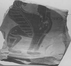 AMPHORA, NECK, FRAGMENT (ATHENIAN, BLACK-FIGURE)
