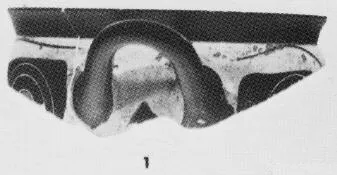 MASTOID, FRAGMENT (ATHENIAN, BLACK-FIGURE)