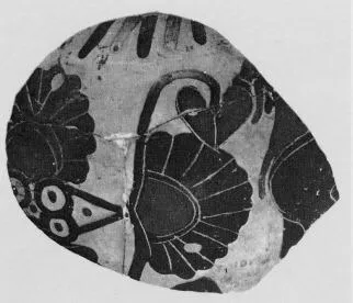 FRAGMENT (CHALCIDIAN, BLACK-FIGURE)