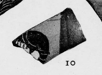 AMPHORA, NECK, FRAGMENT (EAST GREEK, CLAZOMENIAN, BLACK-FIGURE)