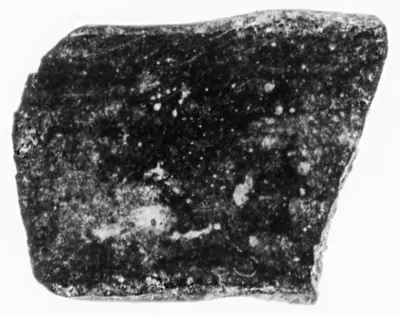 Chalice or Kantharos Handle Fragment