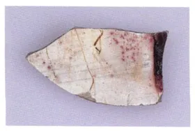 LEKYTHOS, FRAGMENT (ATHENIAN, RED-FIGURE)