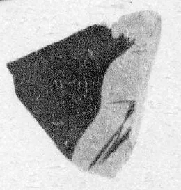 CUP (ATHENIAN, RED-FIGURE)
