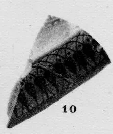 CUP, FRAGMENT (ATHENIAN, BLACK-FIGURE)