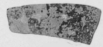 FRAGMENT (ATHENIAN, RED-FIGURE)