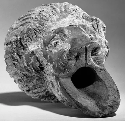 Lion Head Water Spout