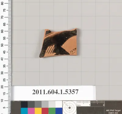 Terracotta fragment of a kylix (drinking cup)