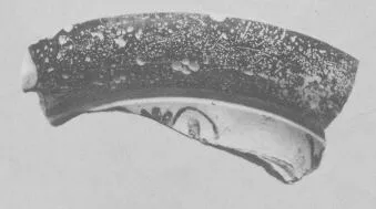 AMPHORA, NECK, FRAGMENT (ATHENIAN, BLACK-FIGURE)