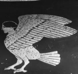 STAMNOS (ATHENIAN, RED-FIGURE)