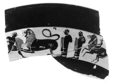 Attic Black-Figure Band Cup Fragment