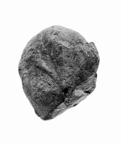 Female Head