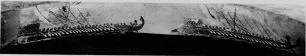 DINOS (ATHENIAN, BLACK-FIGURE)