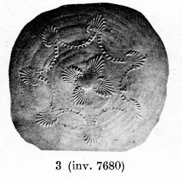 BOWL (SOUTH ITALIAN, CAMPANIAN, BLACK GLAZE)