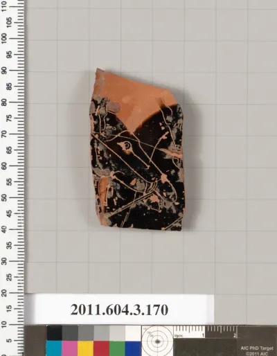 Terracotta fragment of an amphora (jar)