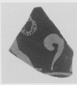 SKYPHOS, FRAGMENT (SOUTH ITALIAN, APULIAN, RED-FIGURE)