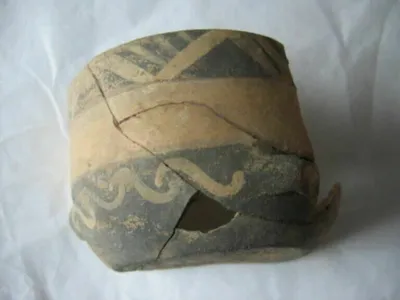 tasse