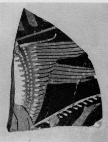 LEKANIS LID, FRAGMENT (SOUTH ITALIAN, APULIAN, RED-FIGURE)