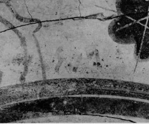 ARYBALLOS (CORINTHIAN, BLACK-FIGURE)