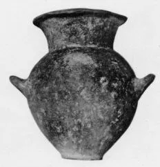 AMPHORA, BELLY (VILLA NOVA)
