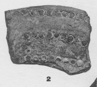 FRAGMENT (ETRUSCAN, RELIEF)