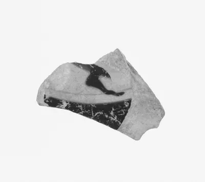 Attic Black-Figure Cup Fragment