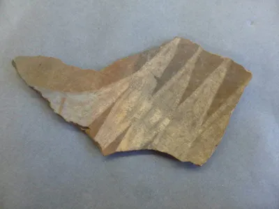 vase ; fragment