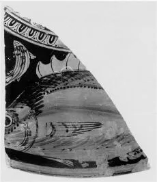 FISH PLATE, FRAGMENT (ATHENIAN, RED-FIGURE)