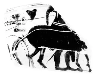 CUP, FRAGMENT (ATHENIAN, BLACK-FIGURE)