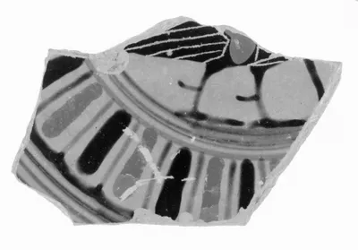 Attic Black-Figure Vase Fragment