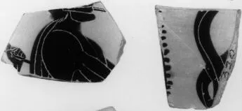 SKYPHOS, FRAGMENT (ATHENIAN, BLACK-FIGURE)
