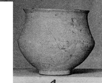BOWL (IBERIAN)