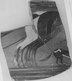 AMPHORA, BELLY, FRAGMENT (ATHENIAN, BLACK-FIGURE)