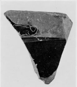 AMPHORA, PANATHENAIC PRIZE, FRAGMENT (ATHENIAN, BLACK-FIGURE)