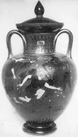 AMPHORA, NECK (ATHENIAN, BLACK-FIGURE)