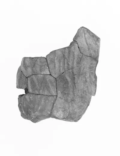 Figurine Fragment