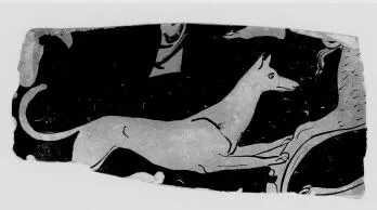 KRATER, FRAGMENT (SOUTH ITALIAN, APULIAN, RED-FIGURE)