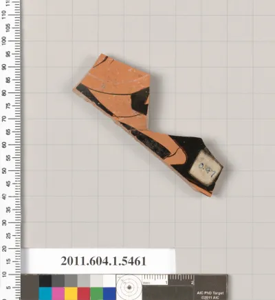 Terracotta fragment of a kylix (drinking cup)