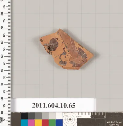 Terracotta fragment of a kylix (drinking cup)