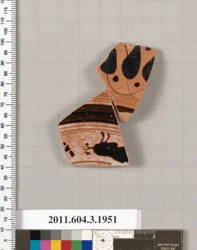 Terracotta fragment of a kylix: Droop cup (drinking cup)